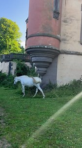 20 reactions | Sam & Jess Explore on Reels | Facebook