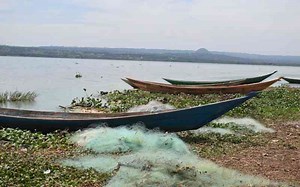 Scientists explain bacteria behind Lake Victoria's green waters