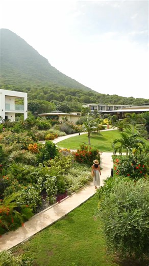 The trees are up, the lights are twinkling, and that magical holiday feeling is all around us. ✨ At Golden Rock Resort, we believe the festive season should be about slowing down, soaking up beauty, and creating memories in a place that feels like paradise. Here, Christmas doesn’t come with crowded streets or freezing winds- it’s warm, peaceful, and wrapped in tropical charm. 🎄🌿 If you're still dreaming of a Caribbean holiday escape, this is your sign: we have just a few spots left for our fes