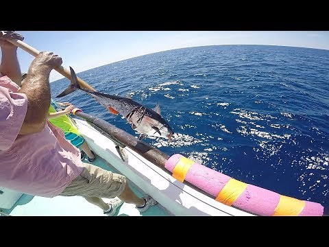 Deep Sea Party Boat Fishing Florida, ''GRAPHIC FISH ATTACK!?" | Gulfstream Charters Key Largo