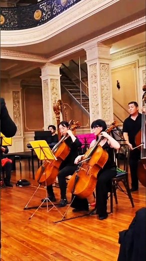 Beethoven 6th symphony storm cellos bass #cello #bass #orchestra #violin #shorts #livemusic