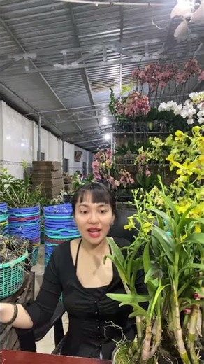 Pensoda Hoa Thơm🌺🌼🌿 #hoalandep (090*317*7978 ☎️☎️)