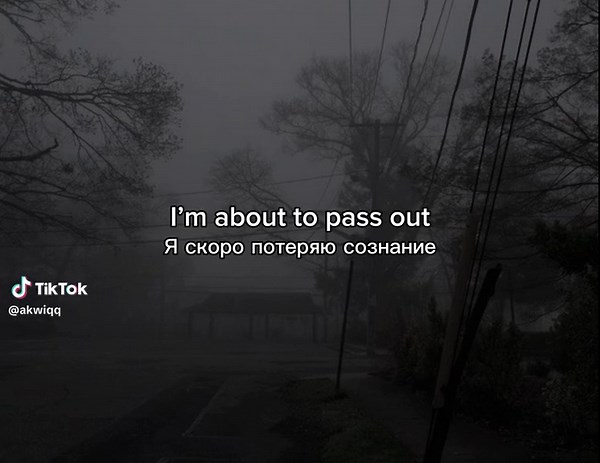 Black Roses - Lyrics by Rebzyyx