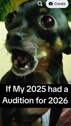 Auditions for 2026: A Hilarious Experience!