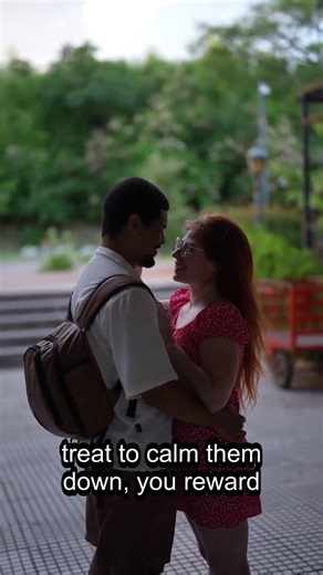 Your dog’s guilty face is a learned trick