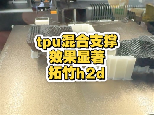拓竹h2dtpu混合支撑效果显著