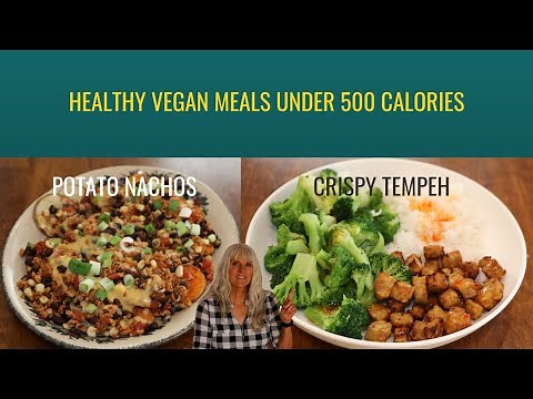 Healthy Vegan Meals Under 500 Calories / Easy To Make