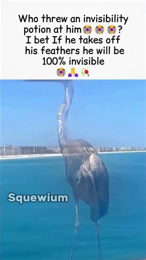 Bro is actually 99% invisible 💀💨