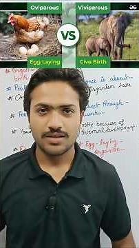 Viviparous animals ll viviparous and oviparous animals ll #viviparous #biology #science #class12