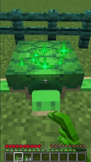 How To Get Turtle Scutes In Minecraft #shorts
