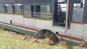 TNews Telugu on Reels