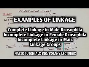Examples of Genetic Linkage 2/2