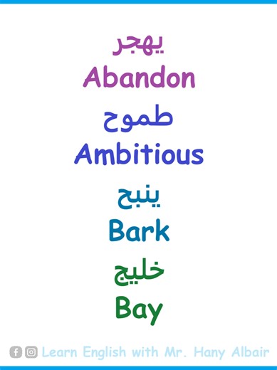‏#Abandon #Ambitious #Bark #Bay