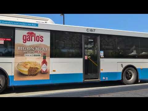 Brisbane City Cultural Centre Bus No 223 Bus Set C1817
