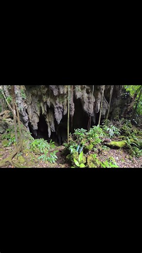 Peleliu Japanese Command Locations – WWII Peleliu History Tour Join us as we explore the key Japanese command and communication sites used during the Battle of Peleliu in World War II. Discover how the Japanese military coordinated their defense from various locations across the island, including the Air Headquarters Building and three significant command caves. This historical tour offers a unique glimpse into the strategic planning and underground operations that shaped one of the Pacific War’