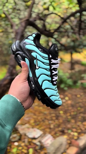 Tn oxygène المفقووووود (machi lel bi3 hadi khawetna ) 🇬🇧🇬🇧🔥#tn #original #nike #alger #الشعب_الصيني_ماله_حل😂😂