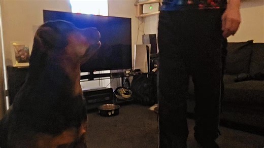 Johnny B good on TikTok