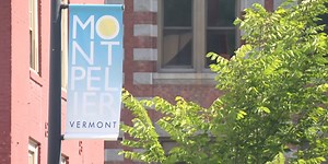 New tree tech used to make Montpelier greener