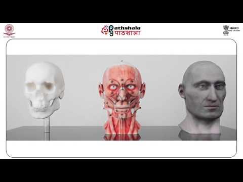 Forensic Facial Reconstruction (FSC)
