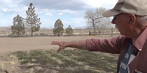 Nevada farmers struggle after federal cut ends key food security program