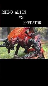 【Alien：Earth】 RHINO ALIEN VS ALPHA PREDATOR 【STOP MOTION】