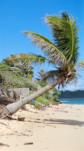 Rad Swim on Instagram: "Love this!!! 🥰 You too?"