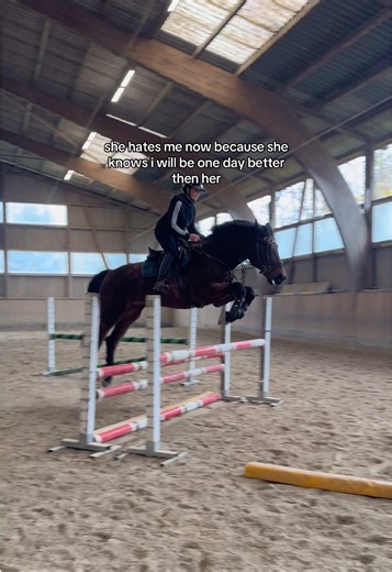 I don’t give up!🤗😘|| wer möchte sich mal (wieder) mit mir treffen?😋|| danke @Flurina Neuweiler für alles💕 #foryou #casanova #equestrian #training #sporthorse