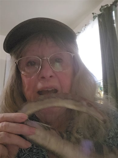 Barosaurus: Discover the Massive Jurassic Dinosaur