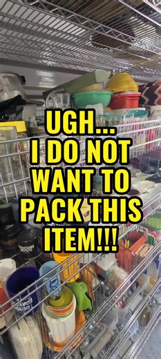 Finding Hidden Treasures: The Thrill of Thrifting on eBay