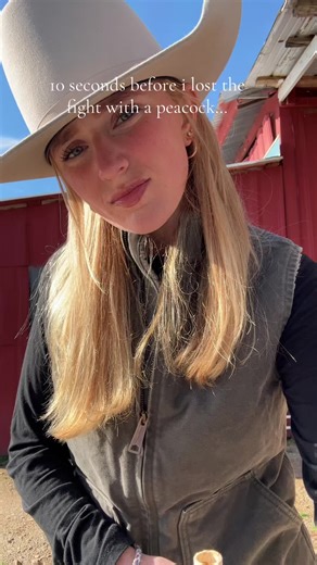 Taste Test: Do Peacock Meat Flavors Resemble Chicken?