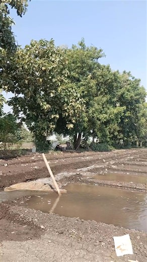 Harilal Dabhi on Reels