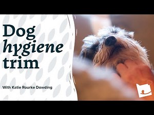 How to Perform a Hygiene Trim for Dogs - Top Tips by Katie Rourke-Dowding