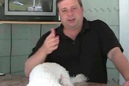 350 Great Catchy Dog Training Business Names