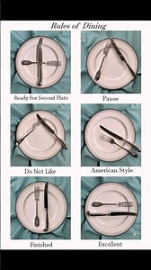 Table Manners That Speak Louder Than Words 🙄