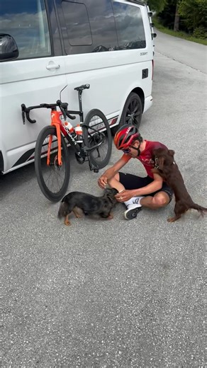 Chestnut & Acorn on Instagram: "Omg it’s daddyyyyy"