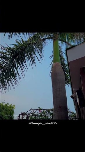 #2lineshayari #poetry #yoytubeshorts