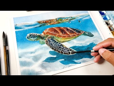 Painting a Sea Turtle in Watercolor