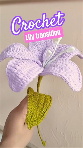 Crochet Lily Transition 🌸 Easy Trick for Beginners!