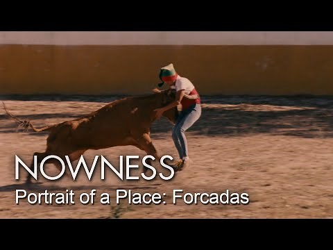 Daredevil women bull wrestlers of Portugal