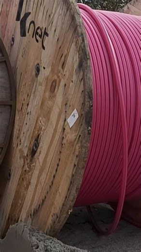 #train #spongebob spon