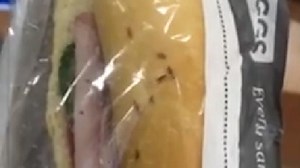 Fly-infested Greggs ham and cheese sandwich