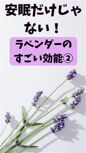 It’s Not Just for Sleep! The Incredible Benefits of Lavender 2 #lavender #herbs #lavender