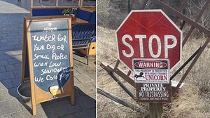 25 Odd Signs Everyone Can Laugh At
