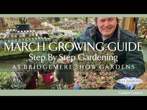 March Growing Guide | Step-by-Step Gardening at Blue Diamond's Bridgemere Show Gardens | Episode 9