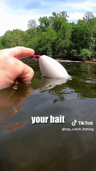This is my go to setup maybe it'll work for you too. Caught 1000s of fish on it.
