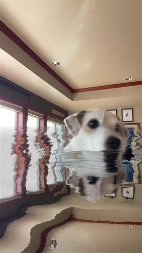 Kelsie Hayward (@kelsiejayce)’s videos with original sound - Olivia Scarone