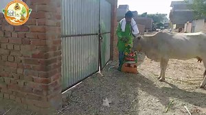 22 reactions · 25 shares | अपने जन्मदिन, शादी की सालगिरह आदि पर...