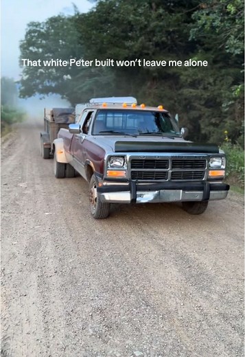 Conner Shepherd on TikTok