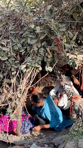 Sailani rahasyamay gaon sailani baba ki bag jaali #sailani #sailanibaba #dargah #mazar #dargahsharif #mazarsharif #islamic #Islamicpost #islamicreels #allah #Allahuakbar #khwajagaribnawaz #khwajaji #khwajamoinuddinchisti #khwajawale #kgn #ajmersharif #ajmersharifdargah #ziyarat #muslim #muslimah #ajmer #tarunvloggerajmer | Tarun Vlogger Ajmer