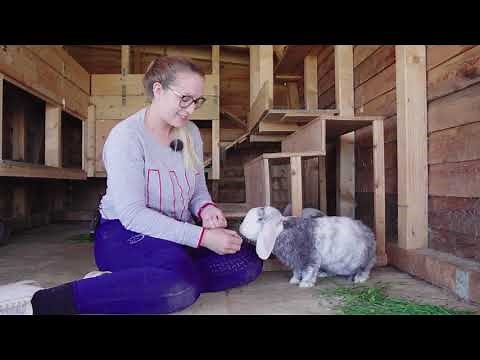 Ich zeige euch meine Kaninchen und wie sie leben!